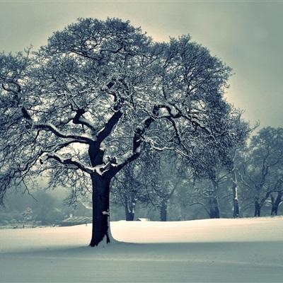 Kaiyun体育官方入口